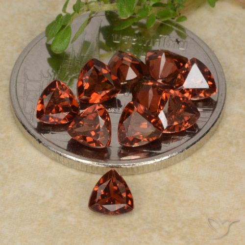 2.91ctw Naturale Rosso scuro Granato Piropo, Taglio trillion, VS