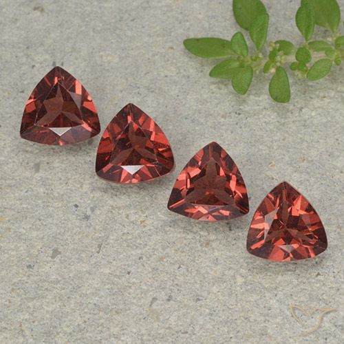3.25ctw Naturale Rosso medio-scuro Granato Piropo, Taglio trillion, VVS-VS