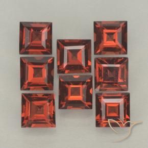 Gemme di Granato Piropo Rosso scarlatto naturale da 3.67 ct, Quadrato, VVS-VS