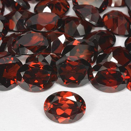 Gemme di Granato Piropo Rosso naturale da 8.73 ct, Taglio ovale, VVS-VS