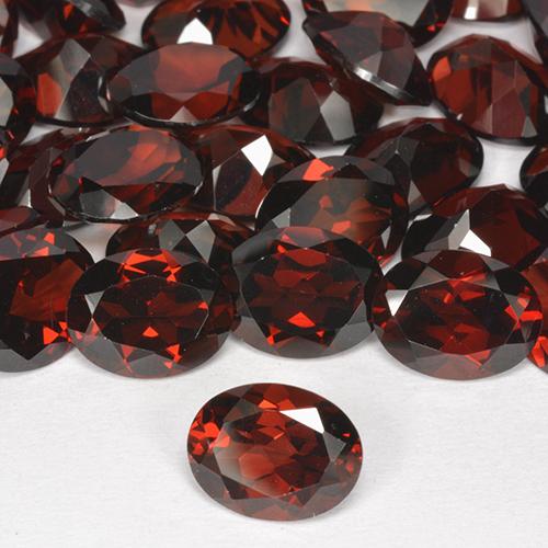 Gemme di Granato Piropo Rosso naturale da 8.73 ct, Taglio ovale, VVS-VS