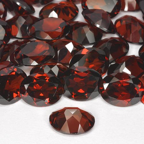 Gemme di Granato Piropo Rosso naturale da 8.73 ct, Taglio ovale, VVS-VS