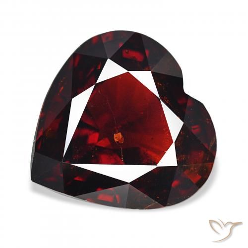 15.79ct Rosso scuro Granato Piropo, Cuore, VS