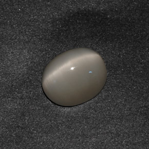 Quartz cat's eye naturale grigio da 3,42 ct, taglio ovale, opaco