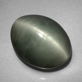 Quartz cat's eye naturale verde da 7,74 ct, taglio ovale, opaco