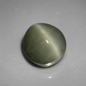 Quartz cat's eye naturale verde da 5,45 ct, taglio ovale, opaco