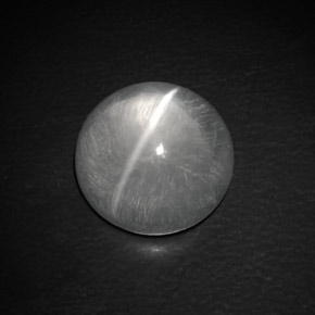 Quartz cat's eye naturale bianco da 9,02 ct, taglio rotondo, trasparente