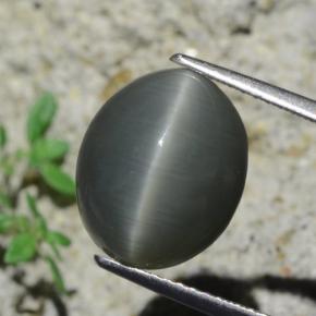 Quartz cat's eye naturale grigio da 7,96 ct, taglio ovale, opaco