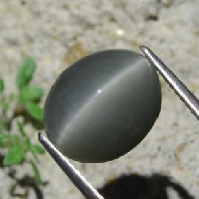 Quartz cat's eye naturale grigio da 7,96 ct, taglio ovale, opaco