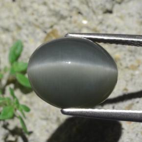 Quartz cat's eye naturale grigio da 7,96 ct, taglio ovale, opaco