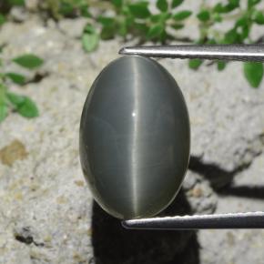 Quarzo Occhio di Gatto Verde naturale da 9.07 ct, Taglio ovale, Opaco