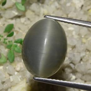 Quarzo Occhio di Gatto Grigio verde naturale da 8.08 ct, Taglio ovale, Traslucido
