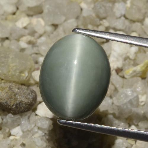6.06ct Naturale Grigio medio Quarzo effetto occhio di gatto, Ovale, Opaco