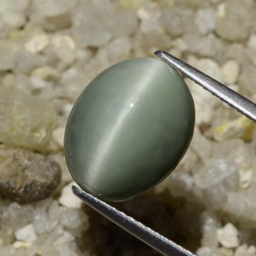 Quarzo Occhio di Gatto Grigio medio naturale da 6.06 ct, Ovale, Opaco