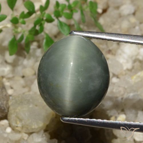 7.74ct Naturale Grigio medio Quarzo Occhio di Gatto, Ovale, Opaco