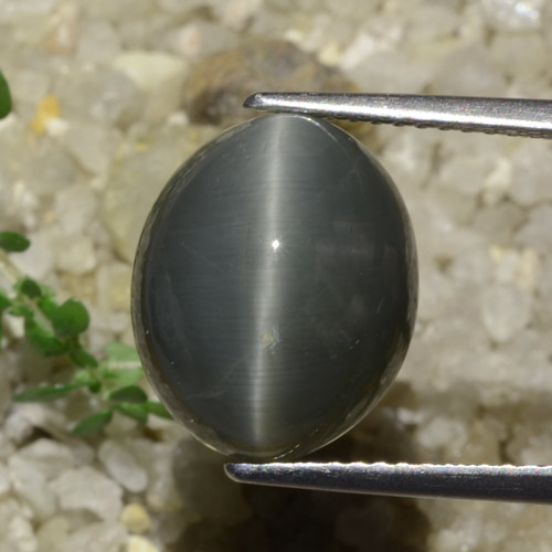 Quarzo Occhio di Gatto Grigio scuro naturale da 7.89 ct, Taglio ovale, Opaco