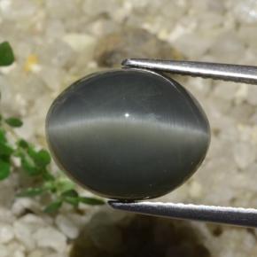 Quarzo Occhio di Gatto Grigio scuro naturale da 7.89 ct, Taglio ovale, Opaco