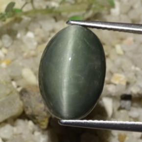 Quarzo Occhio di Gatto Grigio medio naturale da 8.78 ct, Taglio ovale, Opaco