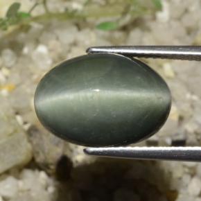 Quarzo Occhio di Gatto Grigio medio naturale da 8.78 ct, Taglio ovale, Opaco