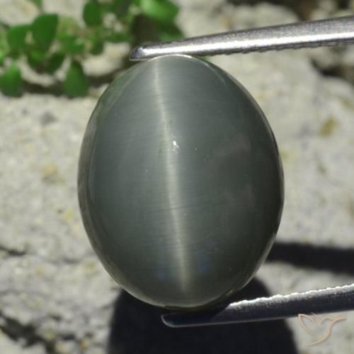 7.28ct Naturale Grigio verdastro pallido Quarzo effetto occhio di gatto, Ovale, Opaco