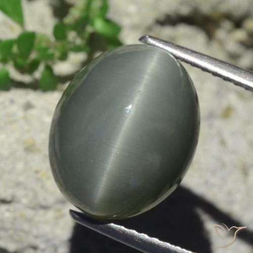 Quarzo Occhio di Gatto Grigio verdastro pallido naturale da 7.28 ct, Ovale, Opaco