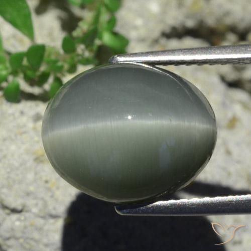 Quarzo Occhio di Gatto Grigio verdastro pallido naturale da 7.28 ct, Ovale, Opaco