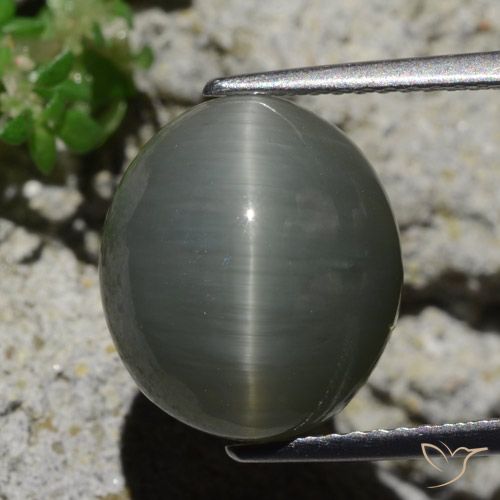 8.02ct Naturale Grigio verdastro pallido Quarzo effetto occhio di gatto, Ovale, Opaco