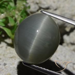 Quarzo Occhio di Gatto Grigio verdastro pallido naturale da 8.02 ct, Ovale, Opaco