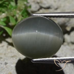 Quarzo Occhio di Gatto Grigio verdastro pallido naturale da 8.02 ct, Ovale, Opaco