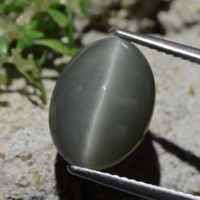 Quarzo Occhio di Gatto Grigio verdastro pallido naturale da 6.12 ct, Taglio ovale, Opaco