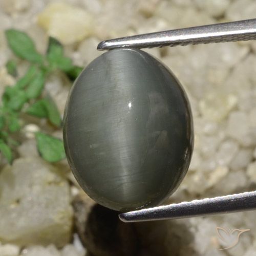 6.65ct Naturale Grigio medio Quarzo effetto occhio di gatto, Ovale, Opaco