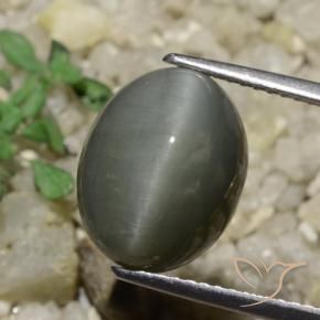 Quarzo Occhio di Gatto Grigio medio naturale da 6.65 ct, Ovale, Opaco