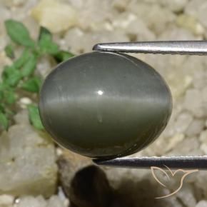 Quarzo Occhio di Gatto Grigio medio naturale da 6.65 ct, Ovale, Opaco