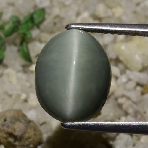Quarzo Occhio di Gatto grigio verdastro naturale da 5.82 ct, Taglio ovale, Traslucido