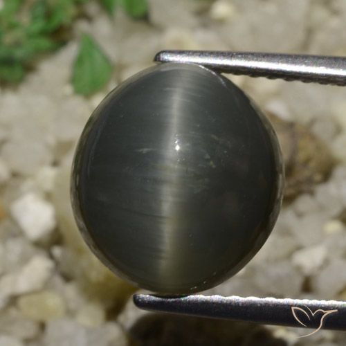 6.05ct Naturale Grigio acciaio Quarzo effetto occhio di gatto, Ovale, Opaco