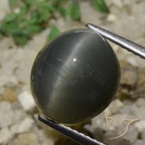Quarzo Occhio di Gatto Grigio acciaio naturale da 6.05 ct, Ovale, Opaco