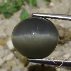 Quarzo Occhio di Gatto Grigio acciaio naturale da 6.05 ct, Ovale, Opaco