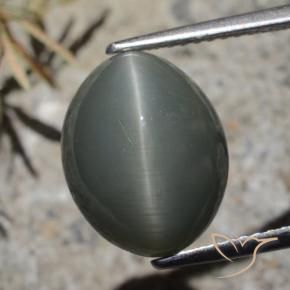 Quarzo Occhio di Gatto Grigio scuro naturale da 7.32 ct, Ovale, Opaco
