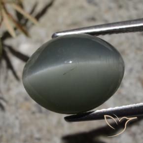 Quarzo Occhio di Gatto Grigio scuro naturale da 7.32 ct, Ovale, Opaco