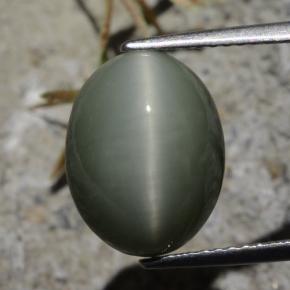 Quarzo Occhio di Gatto grigio verdastro naturale da 7.21 ct, Taglio ovale, Opaco