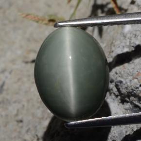 Quarzo Occhio di Gatto Verde naturale da 5.29 ct, Taglio ovale, Opaco