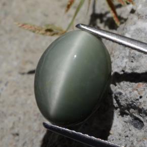 Quarzo Occhio di Gatto Verde naturale da 5.29 ct, Taglio ovale, Opaco