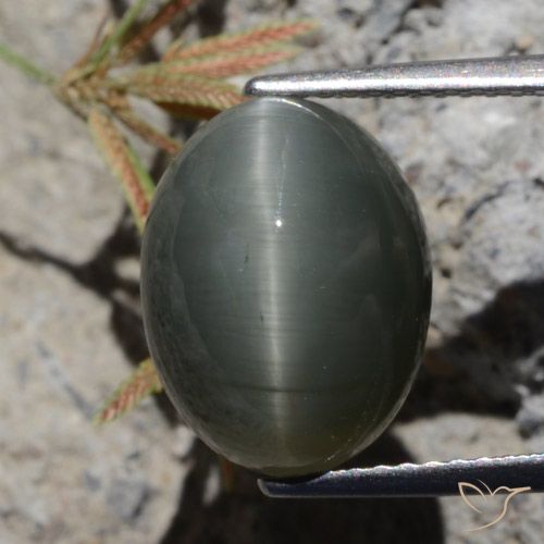 6.97ct Naturale Grigio scuro Quarzo effetto occhio di gatto, Ovale, Opaco