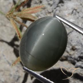 Quarzo Occhio di Gatto Grigio scuro naturale da 6.97 ct, Ovale, Opaco