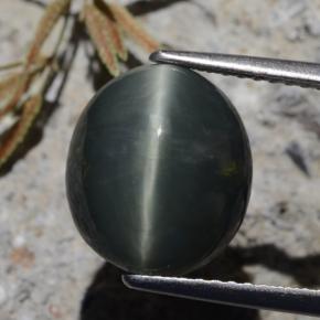Quarzo Occhio di Gatto Verde scuro naturale da 6.15 ct, Taglio ovale, Opaco
