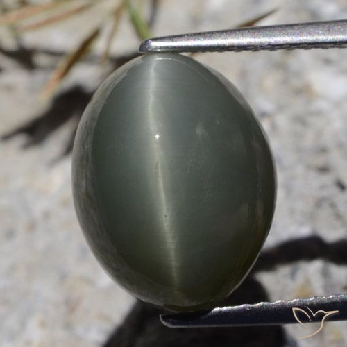 8.10ct Naturale Grigio scuro Quarzo effetto occhio di gatto, Ovale, Opaco