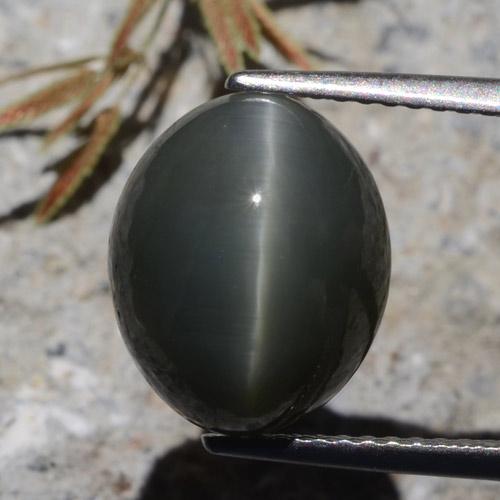 Quarzo Occhio di Gatto Grigio scuro naturale da 7.26 ct, Taglio ovale, Opaco