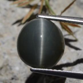 Quarzo Occhio di Gatto Verde naturale da 5.62 ct, Taglio ovale, Opaco
