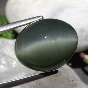 Quarzo Occhio di Gatto Grigio medio naturale da 9.50 ct, Taglio ovale, Opaco