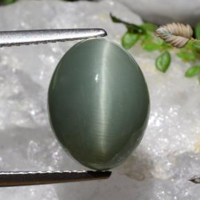 Quarzo Occhio di Gatto Verde medio-profondo naturale da 7.17 ct, Taglio ovale, Opaco